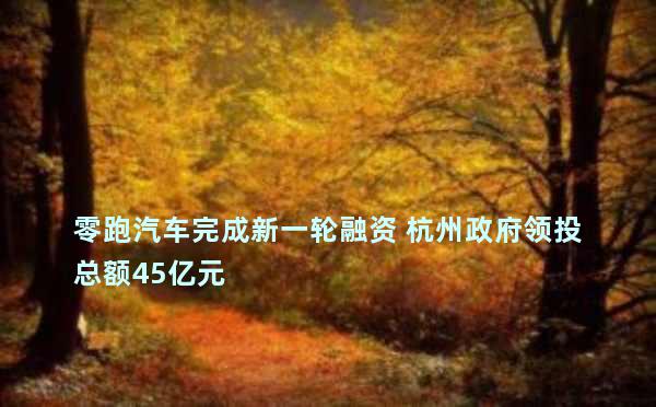 零跑汽车完成新一轮融资 杭州政府领投总额45亿元